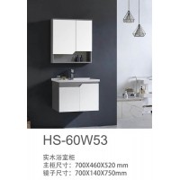 HS-60W53
