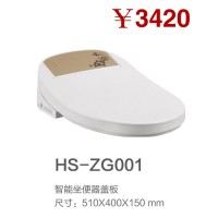 HS-ZG001
