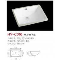 C010