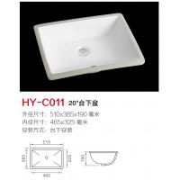C011