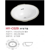 C029