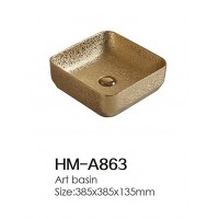HM-A863
