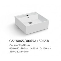 GS-8065-8065A-8065B