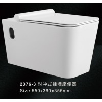 2376-3 对冲式挂墙坐便器