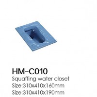 HM-C010