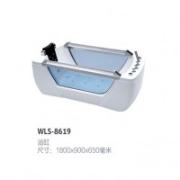 WLS-8619