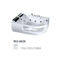 WLS-8620